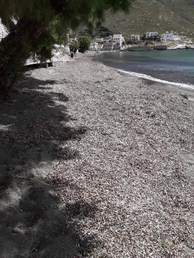 Kalymnos Beach House Panormos  Exteriör bild